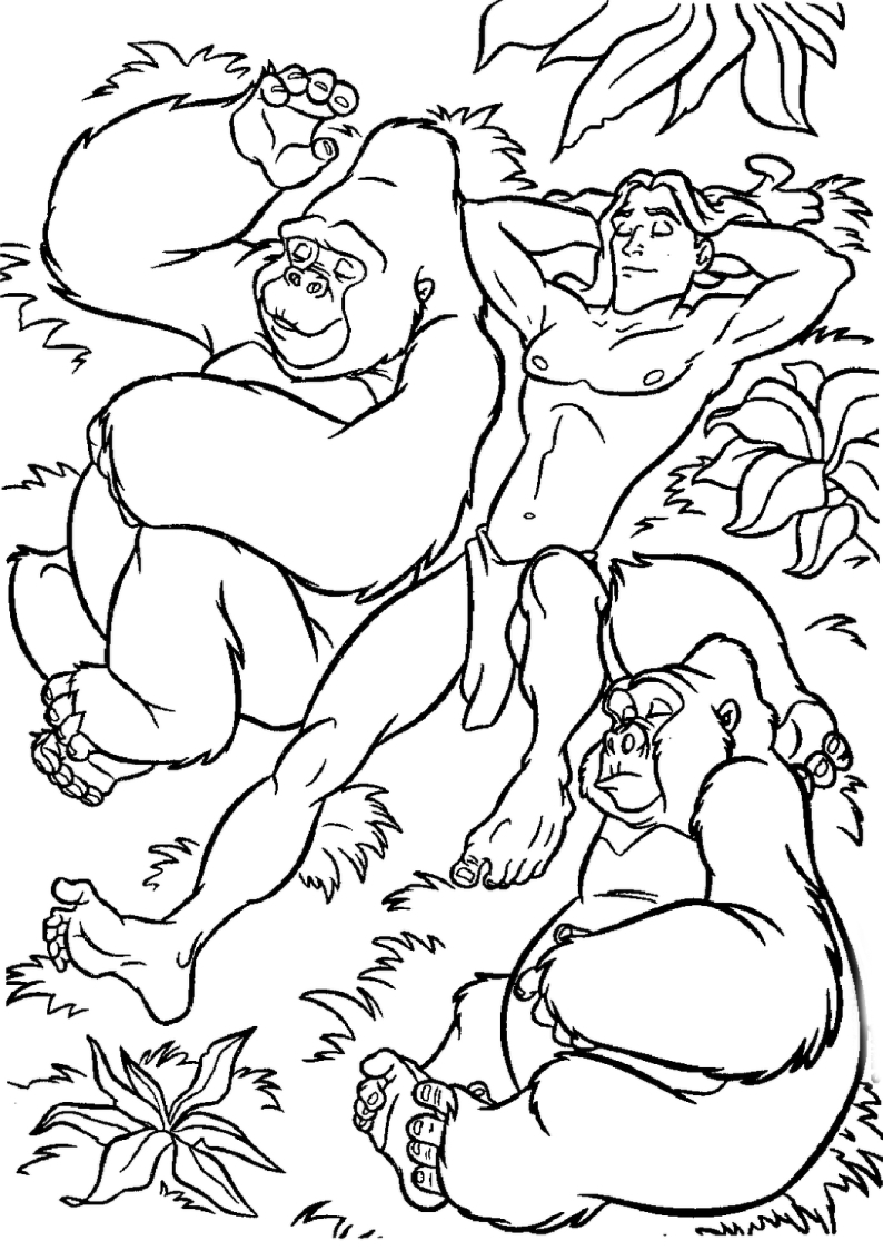 dla dzieci malowanka Tarzan Disney, obrazek z naszym dzikuskiem odpoczywającym ze swoimi przyjaciółmi gorylami numer 55
